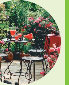 Grădina din balcon – Flori, fructe și legume în ghivece - Img 5
