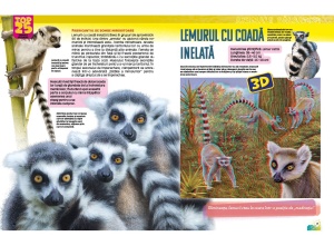 Top 25 Animale sălbatice – Spectaculoase 3D - Img 2