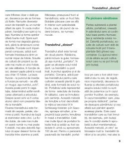 Trandafirii: îngrijire şi tăiere - Img 4