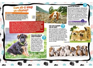 Așa se dresează un cățeluș! - Img 4
