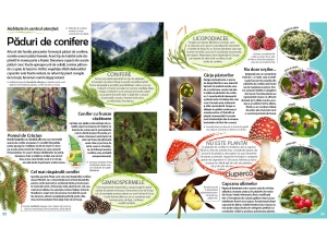 Călătorie în lumea plantelor - Img 4