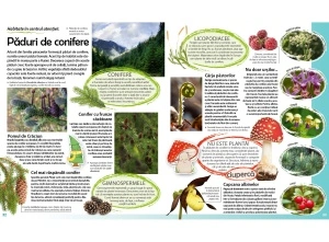 Călătorie în lumea plantelor - Img 4