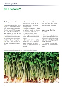 12 luni în grădină - Img 2