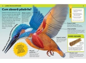 De ce? Enciclopedia pentru copii - Img 4