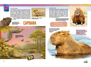 Top 25 Animale sălbatice – Uriașe 3D - Img 2