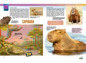 Top 25 Animale sălbatice – Uriașe 3D - Img 2