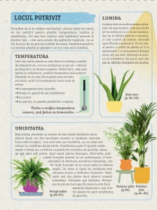 Cum să nu îţi ucizi plantele de apartament - Img 5