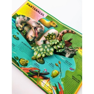 Formidabila carte cu broaște și alte creaturi acvatice - Img 3