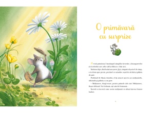 Povești din umbra pădurii - Img 5