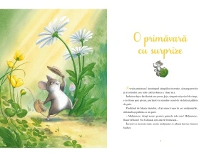 Povești din umbra pădurii - Img 5