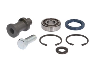 Kit reparatie basculare cabina pentru o parte SCANIA 4, P,G,R,T dupa 1995