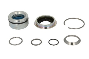Set reparatie basculare cabina SCANIA 4, P,G,R,T, TOURING dupa 1995