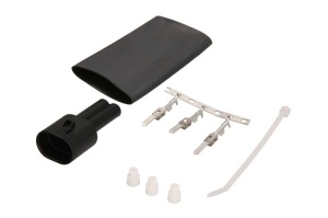 Priza plug-in, numar pini/mumar pini activi 2
