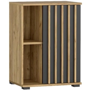Comoda Montana 60 1D cu usa si 2 rafturi, 60x37x80 cm, craft si negru