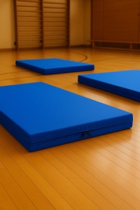Saltea sport FlexiCore pentru exerciții la sol, 200\100 de culoare Albastru