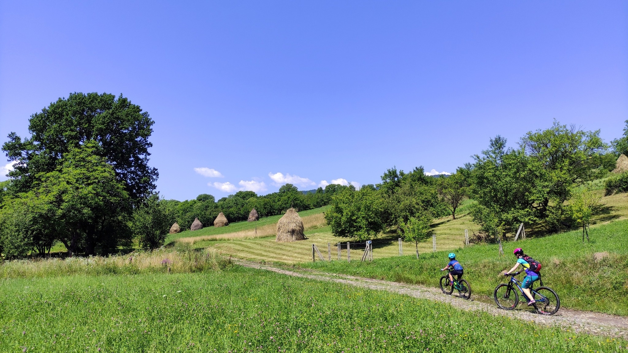 Ski & Bike Community 4
