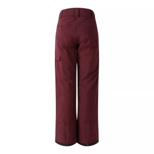 Pantaloni schi femei Dare2B Ice visiniu - Img 3