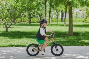 Bicicleta pentru copii Royal Baby Kable-Belt 16 Golden - Img 3