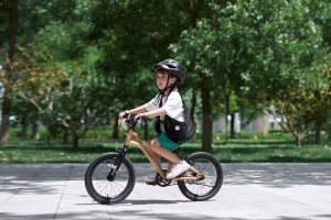 Bicicleta pentru copii Royal Baby Kable-Belt 16 Golden - Img 4