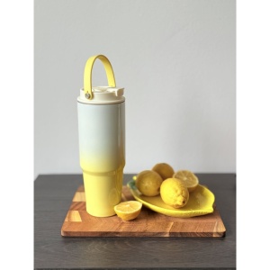 Termos Multicolor, Otel Inoxidabil, cu Pai si Maner, Model 3, 900 ml