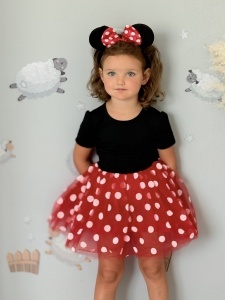 Rochie Fetite Carnaval, Printesa, Tull/Bumbac, Rosu cu Buline Albe, plus Accesoriu Bentita