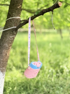 Sticla de Apa pentru Copii, Model Binoclu, cu Pai, Stickere si Bareta, Roz